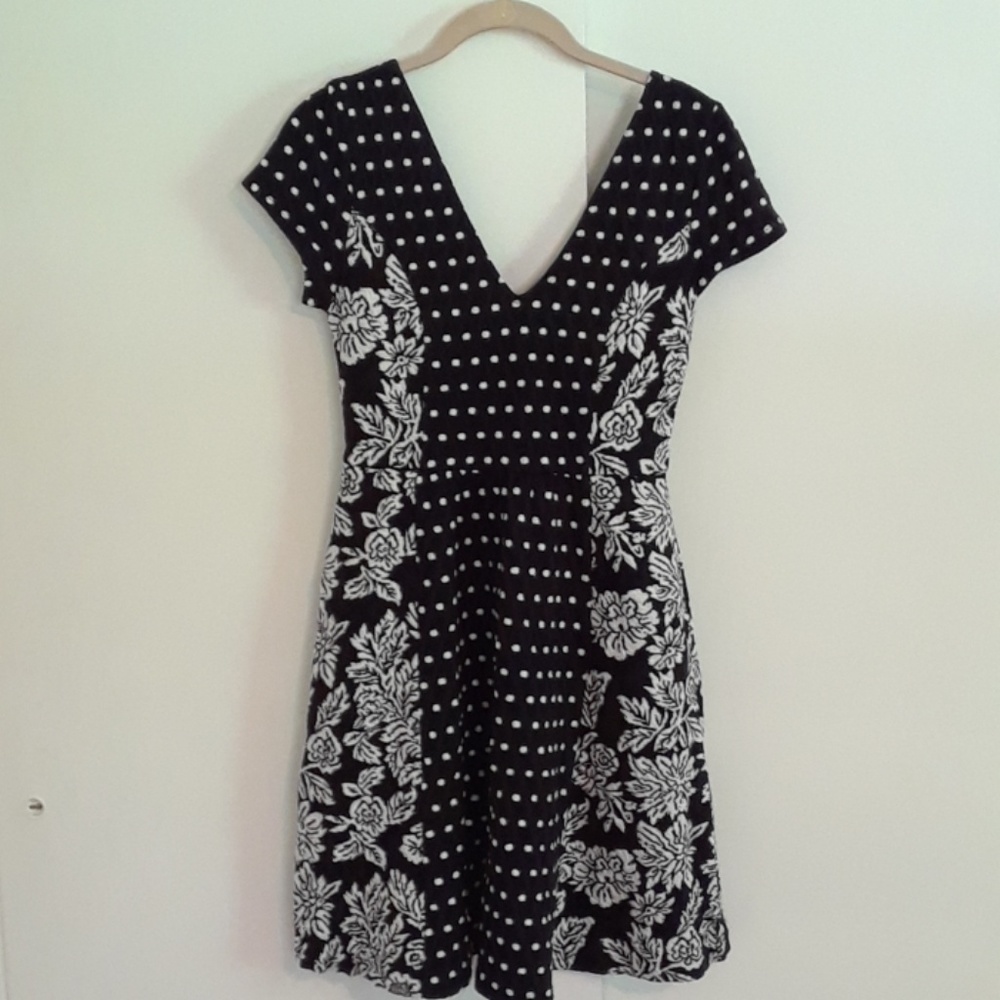 Anthropologie fit and flare dress with pockets